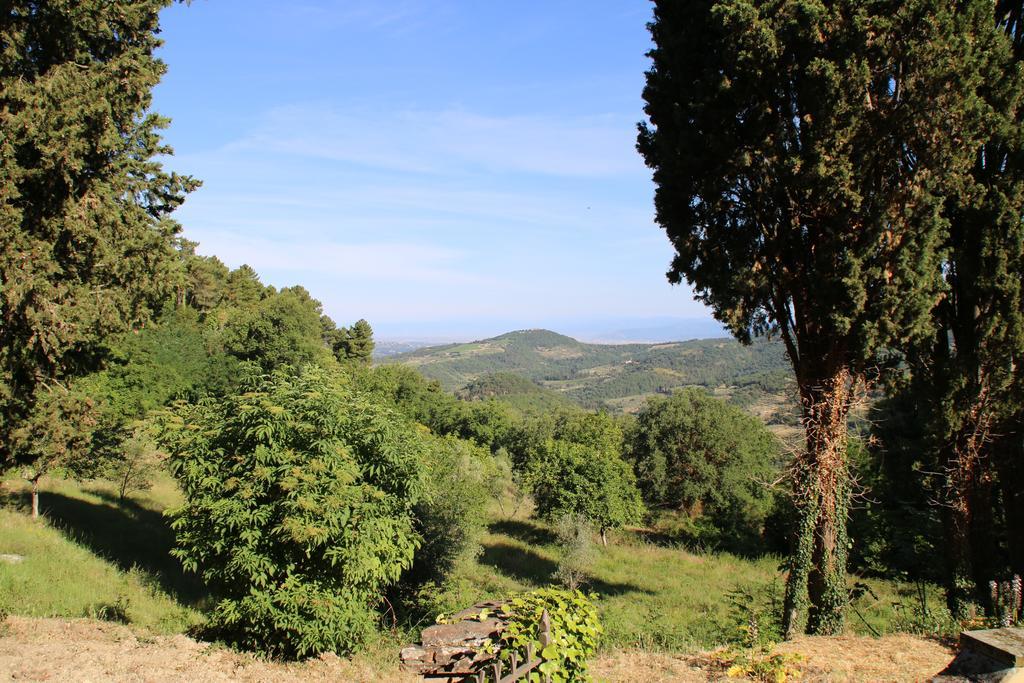 Ferienwohnung Tenuta La Novella Poggio Alla Croce Exterior foto